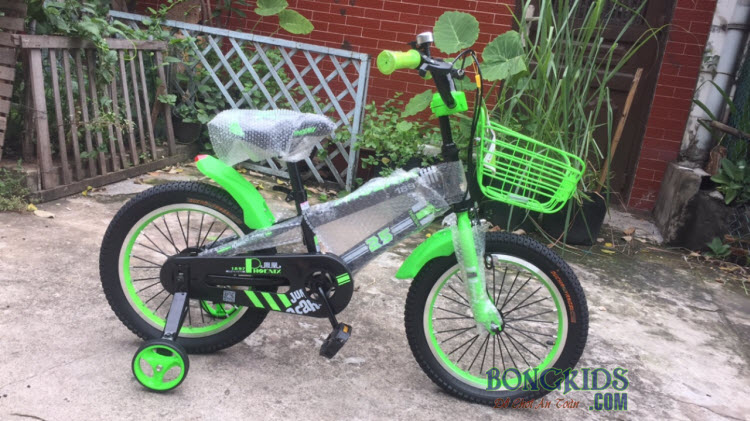Xe đạp trẻ em phoenix màu xanh