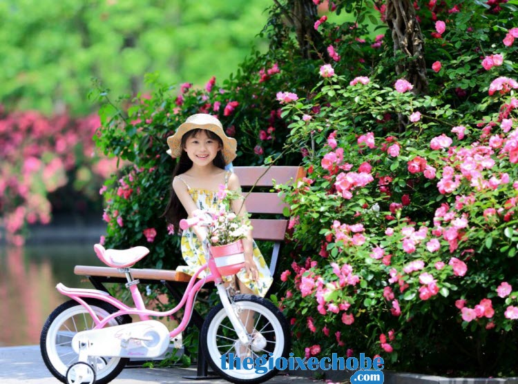Xe đạp trẻ em RoyalBaby Littel Swan RB-18